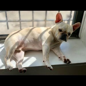 Meet your Posher, Vincent